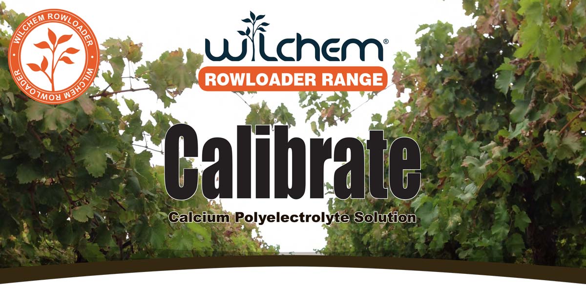 Rowloader Calibrate Banner