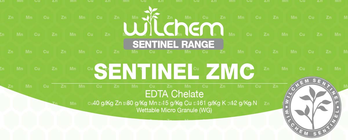 Sentinel ZMC banner