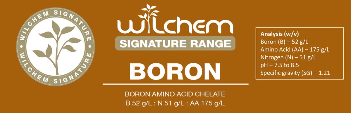 Signature Boron Banner