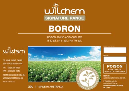 Signature Boron