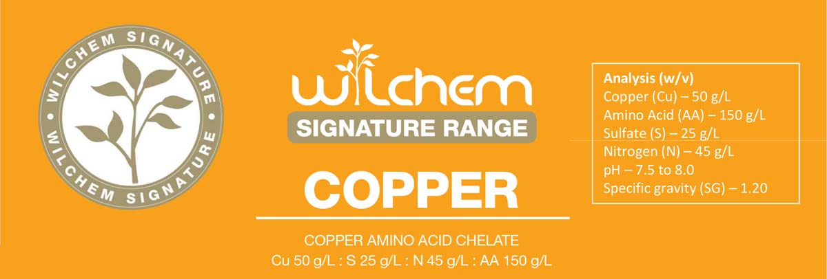 wilchem Signature Copper Banner