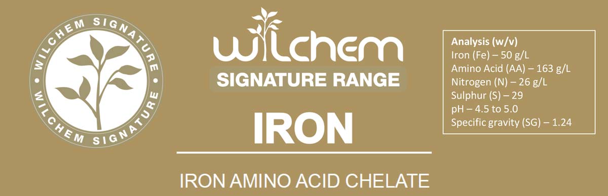 Wilchem Signature Iron
