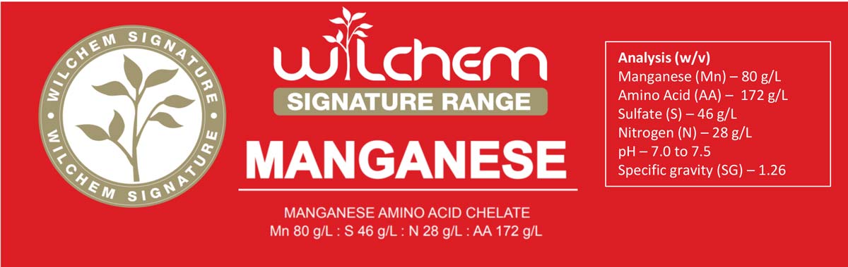 Signature manganese banner