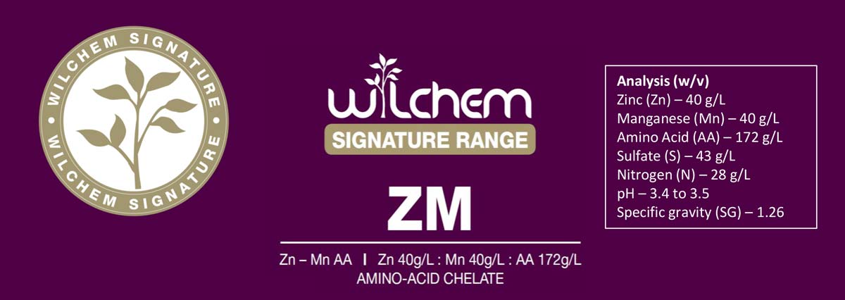 Wilchem Signature ZM banner
