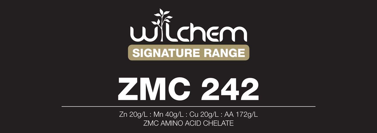 Signature ZMC AMINO ACID CHELATE