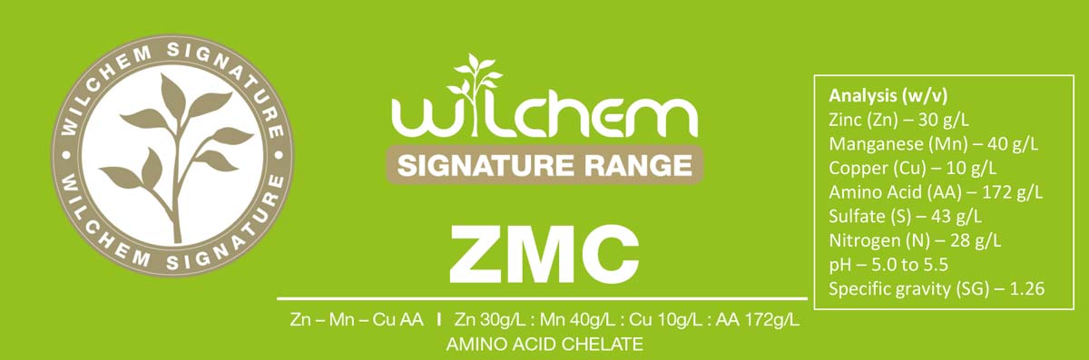 Signature ZMC 341 banner