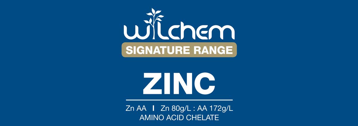 Signature Amino Acid Chelate
