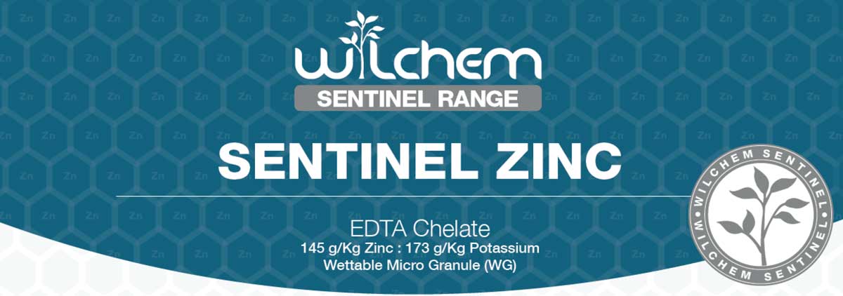 Wilchem Sentinel Zinc Label