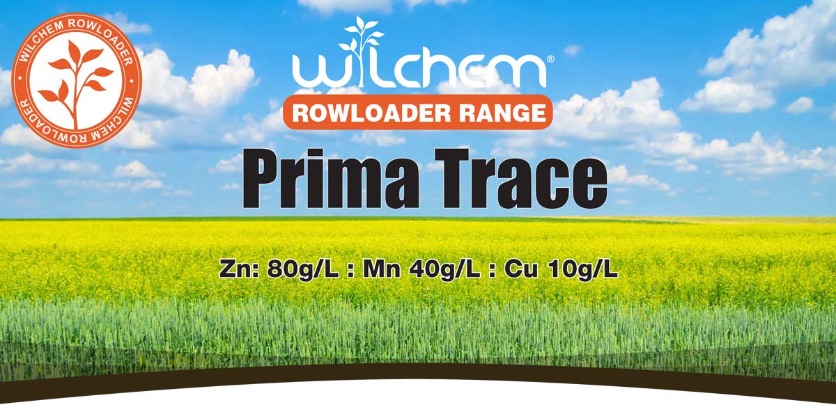 Prima Trace Banner