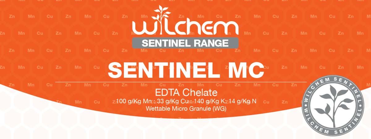 Sentinel MC Banner