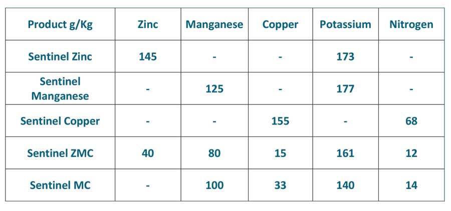 Wilchem Sentinel Zinc Chelate Product Analysis Summary