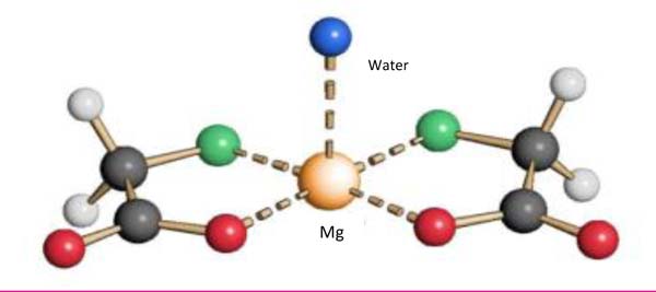 Wilchem Signature Magnesium atomic structure