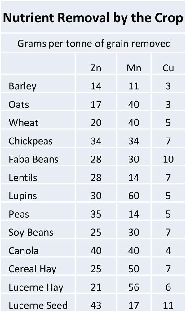 Wilchem Signature ZMC 431 table 1